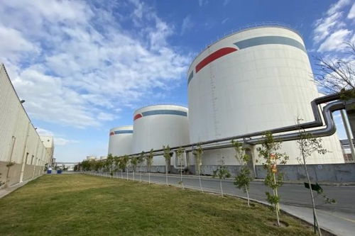 安琪酵母海外工廠 扎根當地，共筑綠色未來